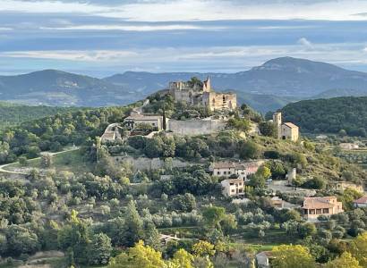 Association pour la Sauvegarde du Château d'Entrechaux