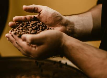 Découverte de la torréfaction du café