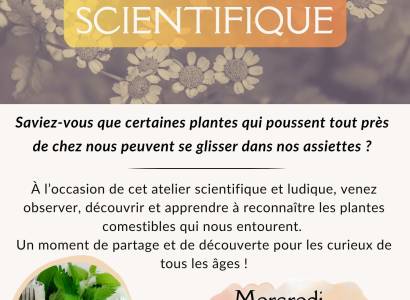 Atelier scientifique  au Centre culturel de Cadenet
