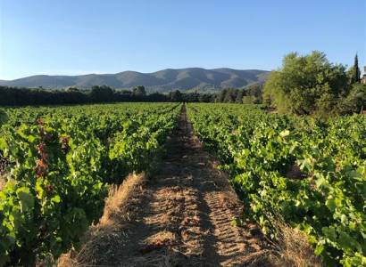 Syndicat des Vins du Luberon