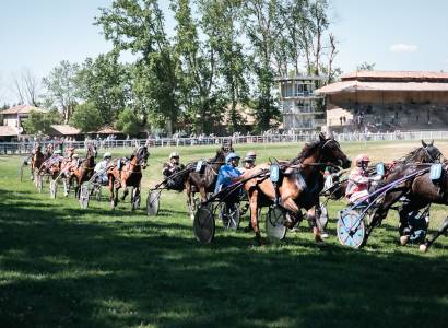 Visite commentée d'un hippodrome