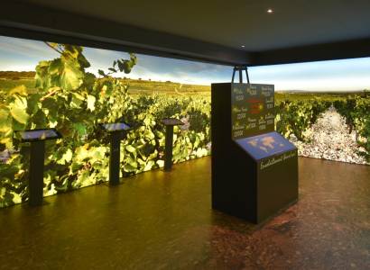 Le Parcours Découverte au Musée du Vin Maison Brotte