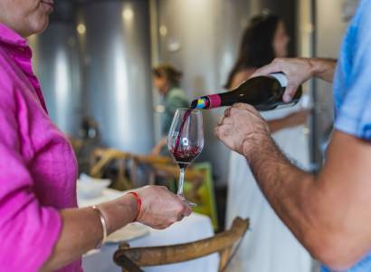 Séjours dans des vignobles d’exception à L'Orélianne