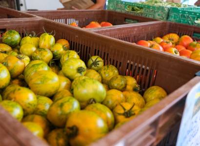 Marché des producteurs de Montfavet