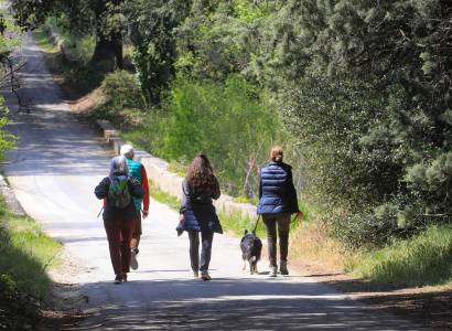 LOURMARIN - Tour du Collet de Pierrouret