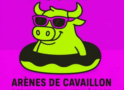 Taureau Piscine