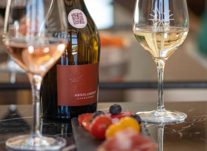 Révélation terroirs : dégustation de vins, huiles d'olive et planche gourmande aux Terrasses d' Adrien
