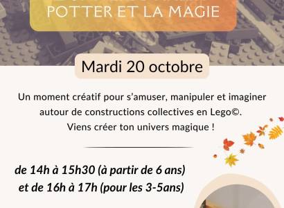 Atelier lego : l'univers d'Harry potter et la magie à Cadenet.