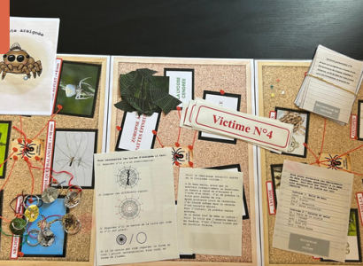 Cluedo - A la découverte des araignées