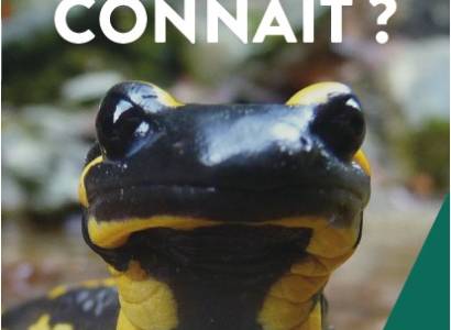 Rendez-vous Nature : Le Canal de Vaucluse, une Sorgue particulière