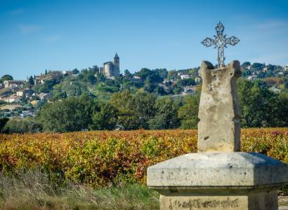 Visite guidée de Rochefort-du-Gard