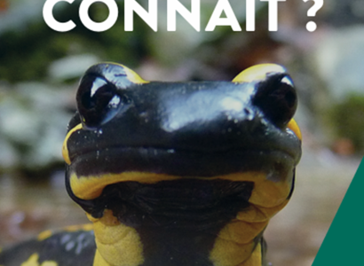 Rendez-vous Nature : Pierre sèche et biodiversité