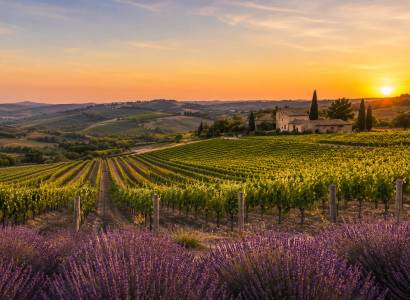 My Vino Road