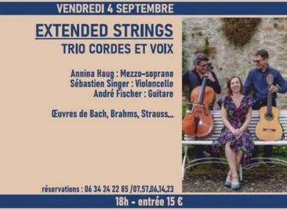 Concert "Extended Strings" - Musique dans la Nef