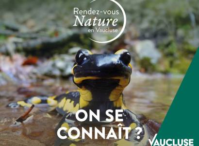 Rendez-vous Nature : Jeu de piste "Accueillir la biodiversité"