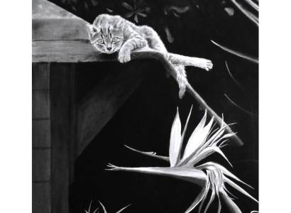 Aquarelles - Exposition d'Annabel Wolf
