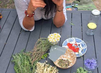 Atelier autour des plantes sauvages : sur les chemins de la rentrée