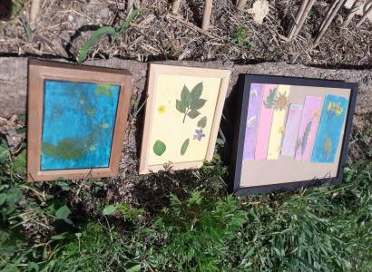 Atelier d'impression végétale : Anthotype, quand les légumes prennent des photos
