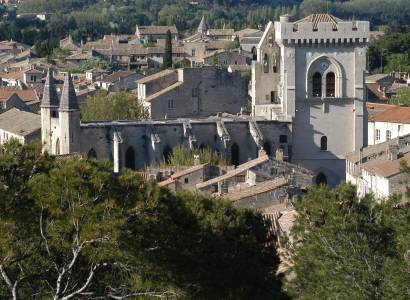 Visite libre de la collégiale Notre-Dame et son cloître