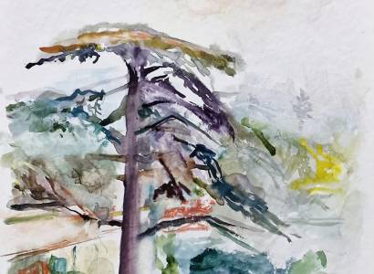 Exposition «Paysages» de Michel Steiner