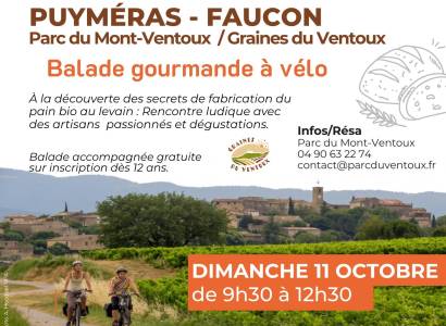 Festival Ventoux Saveurs - Balade gourmande à vélo