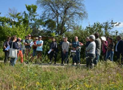 Festival Ventoux Saveurs : Friches agricoles : Trésors ou malédicton?