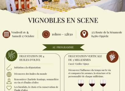 Vignobles en Scène : Atelier dégustation d'huile d'olive et dégustation verticale