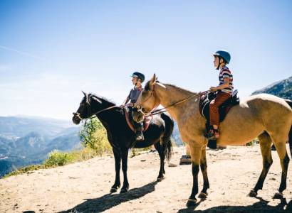 Pertuis Equestre / Fête du cheval 2026