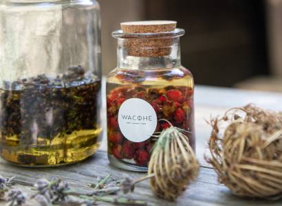 Festival Ventoux Saveurs - Atelier " Plantes et Remèdes" - Wacohe et Le Moulin César