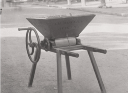 La Provence photographiée