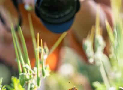 Photo nature - Atelier