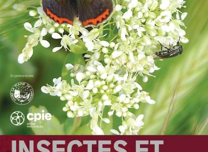 Exposition "Insectes et petite faune de la Plaine de l'Abbaye"