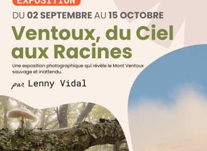 Exposition Ventoux, du ciel aux racines