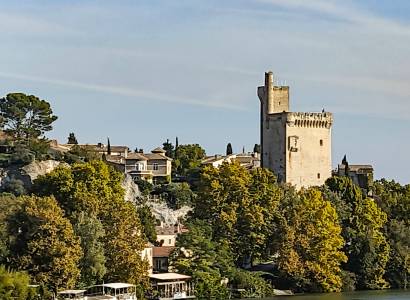 Visite guidée : Villeneuve, l'autre capitale des Papes