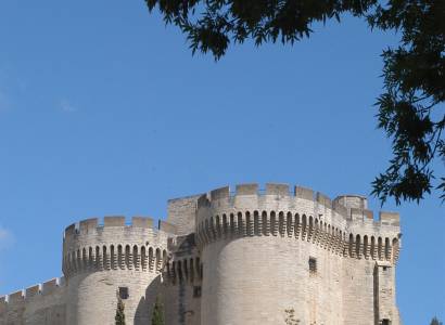 Visites théâtralisées : le roi, l'abbé et le rocher, à la naissance du fort ! 800 ans du Fort