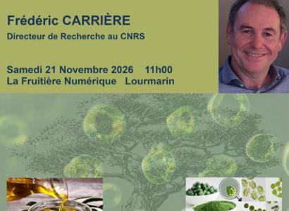 Des lipides dans votre assiette - Conférence