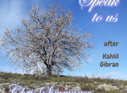 Chris Simmance - Concert