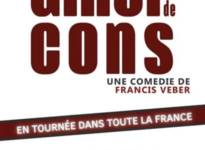Le dîner de cons