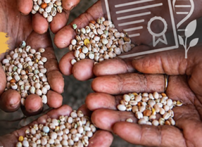 Le brevetage du vivant : main basse sur l’agriculture de demain ?