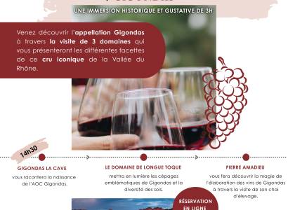 Vignobles en Scène : Immersion historique et gustative dans l'appellation Gigondas