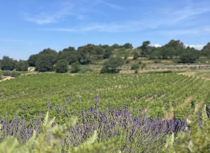 Domaine de la Coquillade