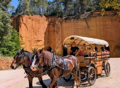 Balade en calèche avec Provence Hipposervices
