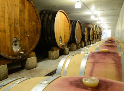 Visite et dégustation aux Vignobles Mayard
