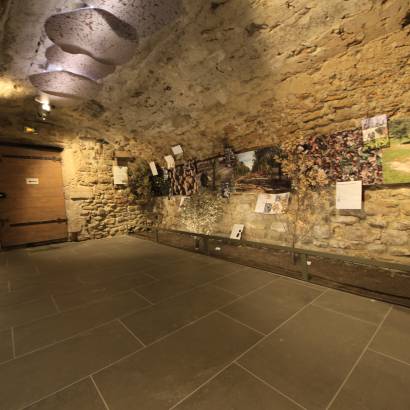 Musée de la truffe et du vin