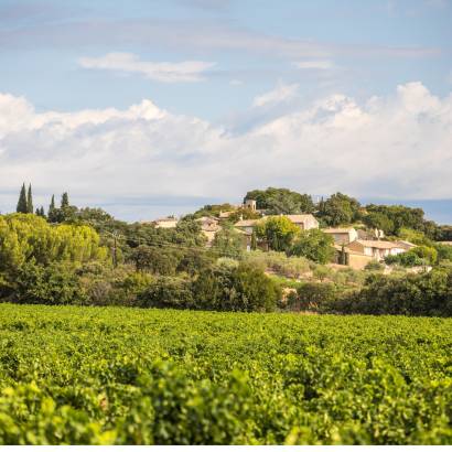 9 - Das Weinbaugebiet Plan de Dieu zwischen Aygues und Ouvèze
