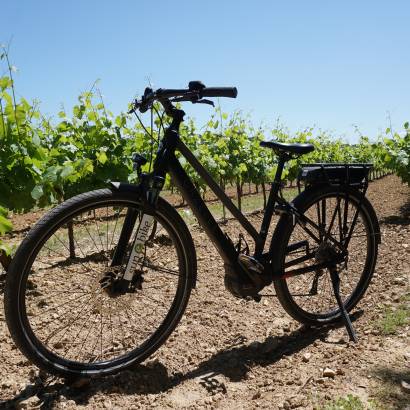 Sun-E-Bike, location vélos et V.A.E