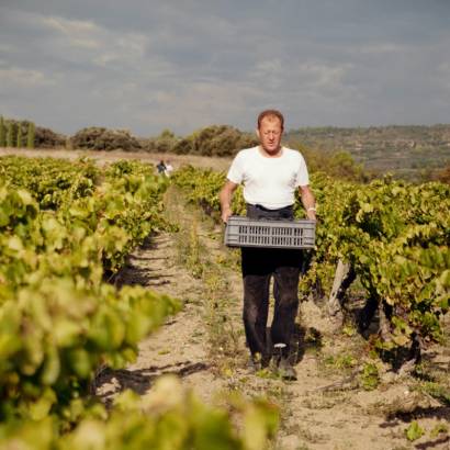 Domaine Les Patys