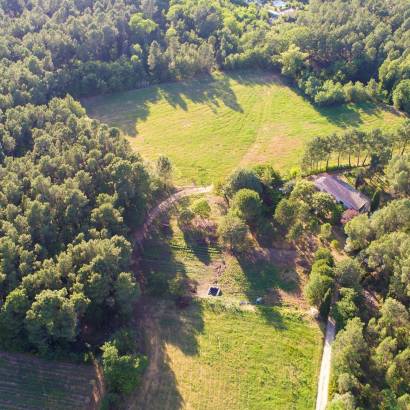 Gîte Les rois fainéants