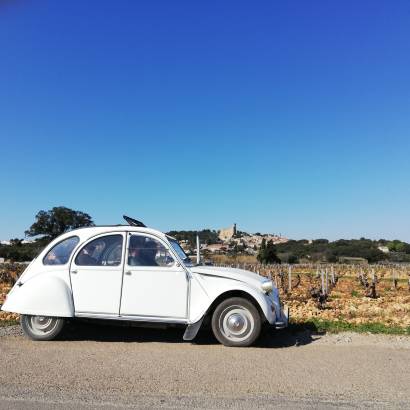 Discovery of Châteauneuf du Pape wines and vineyards by the legendary 2CV