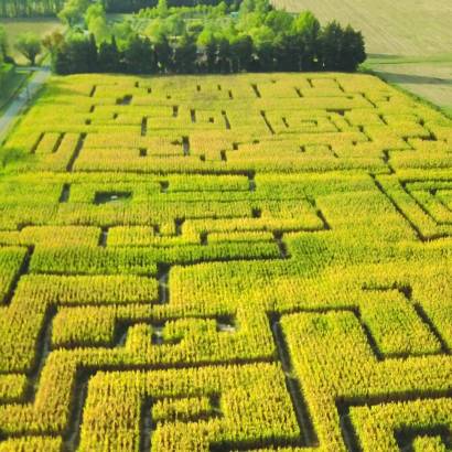 Labyrinthe les Hautes Herbes